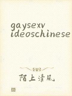 gaysexvideoschinese