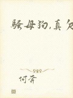 骚母狗,真欠操