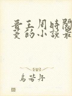 晋王周时阅陆昭菱的小说最新