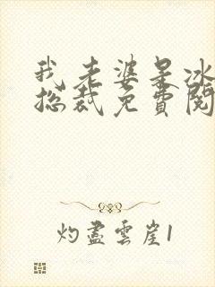 我老婆是冰山女总裁免费阅读全文