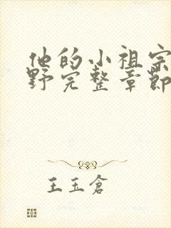 他的小祖宗甜又野完整章节下载