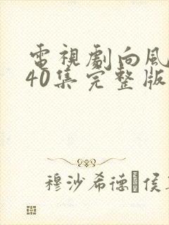 电视剧向风而行40集完整版免费观看