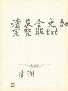 渣反全文加番外完整版txt封面