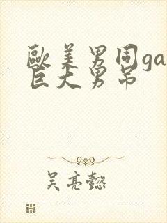 欧美男同gay巨大男吊