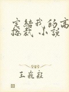 完结我的高冷女总裁 小说