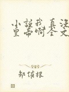 小说我真没想当皇帝啊全文