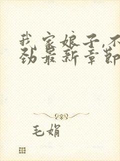 我家娘子,不对劲最新章节更新