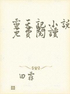 灵天记小说全文免费阅读