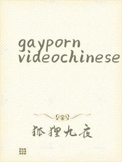 gaypornvideochinese