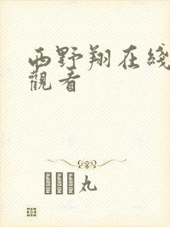 西野翔在线视频观看