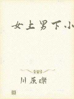 女上男下小说
