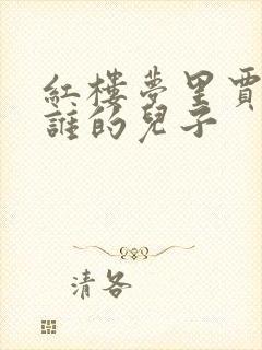 红楼梦里贾琏是谁的儿子