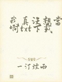 我真没想当皇帝啊txt下载封面