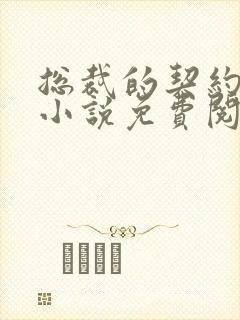 总裁的契约妻 小说免费阅读