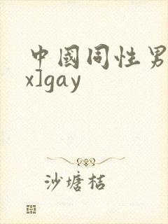中国同性男同xx]gay
