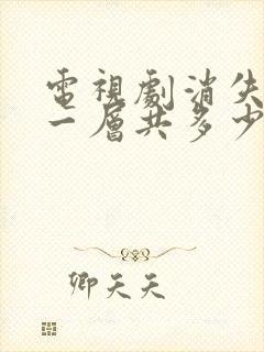 电视剧消失的十一层共多少集