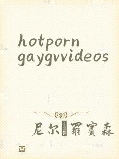 hotporngaygvvideos