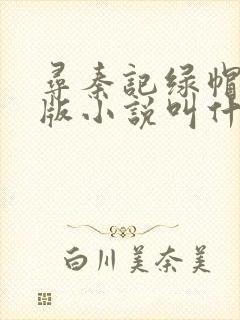 寻秦记绿帽改编版小说叫什么封面