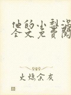 他的小梨涡小说全文免费阅读