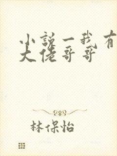 小说一我有七个大佬哥哥