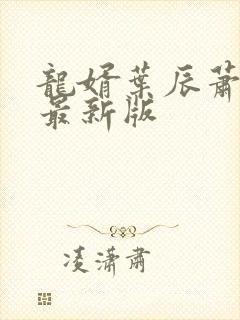 龙婿叶辰萧初然最新版封面