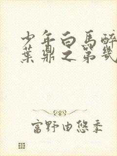 少年白马醉春风叶鼎之第几集出场