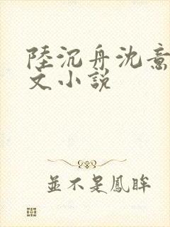 陆沉舟沈意欢全文小说封面