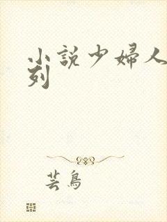 小说少妇人妻系列