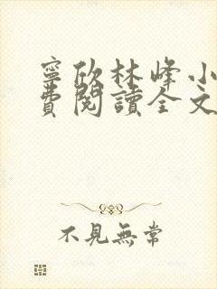 宁欣林峰小说免费阅读全文无弹窗