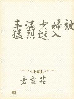 丰满少妇被粗大猛烈进入