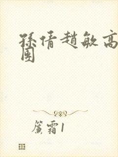 孙倩赵敏高义大团