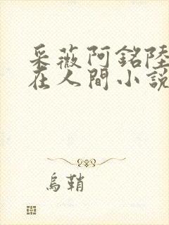 采薇阿铭陆三平在人间小说