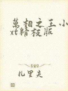 万相之王小说txt精校版