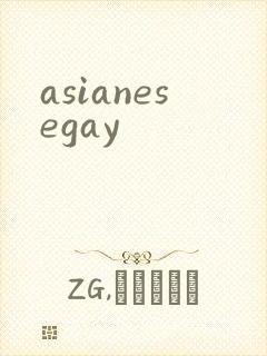 asianesegay封面
