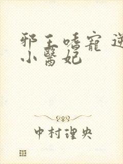 邪王嗜宠 逆天小医妃