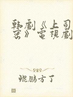 韩剧《上司的秘密》电视剧免费观看