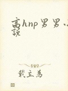 高hnp男男小说