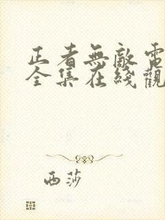 正者无敌电视剧全集在线观看