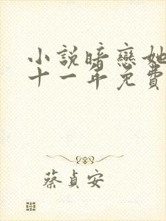 小说暗恋她的第十一年免费看