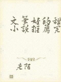 文笔好的甜宠文小说推荐完结