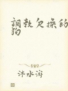 调教欠操的骚母狗