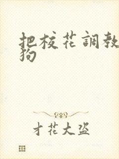 把校花调教成母狗封面