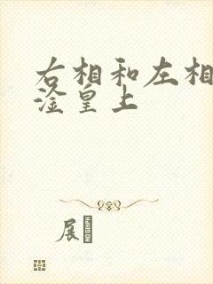 右相和左相一起淦皇上