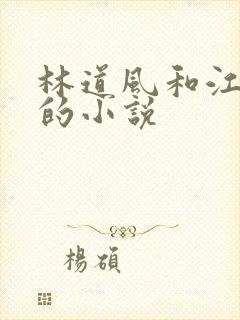 林道风和江雪瑶的小说