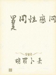 男同性恋网站欧美