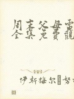 周末父母电视剧全集免费观看剧情封面