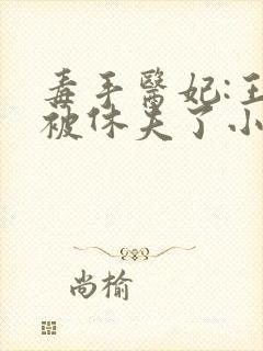 毒手医妃:王爷被休夫了小说