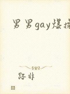 男男gay爆操封面