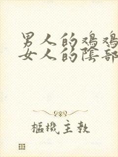 男人的鸡鸡插进女人的阴部