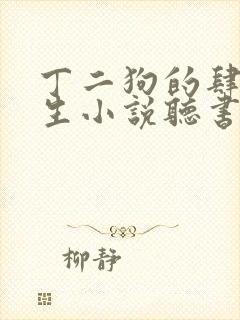 丁二狗的肆意人生小说听书免费